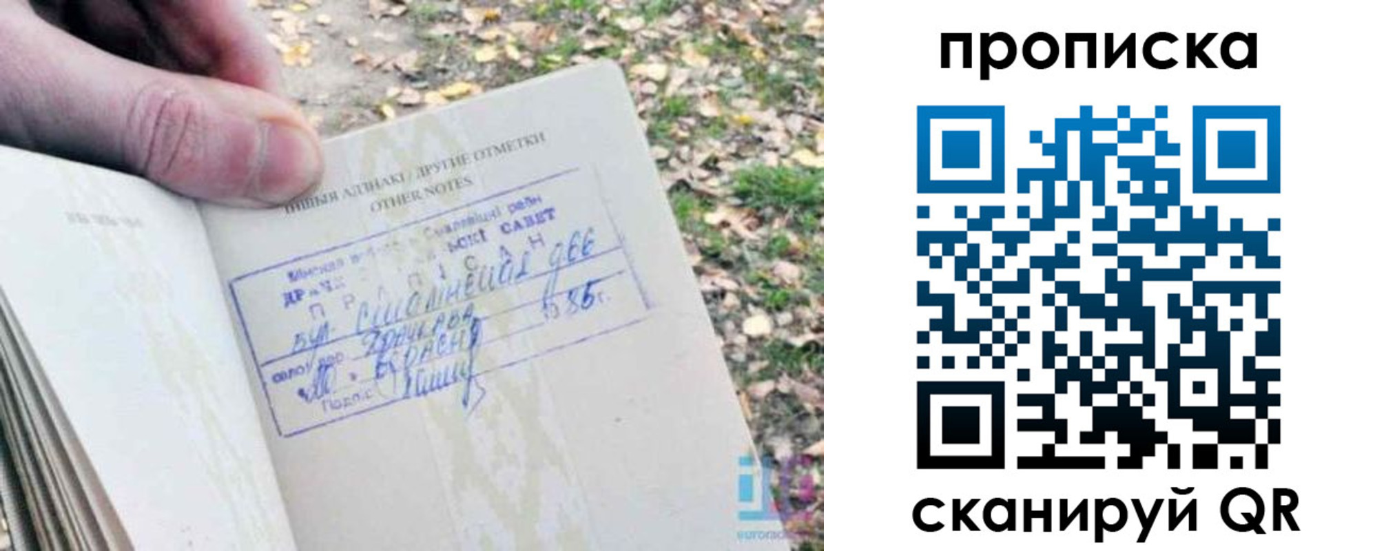 прописка в квартире в Ногинске