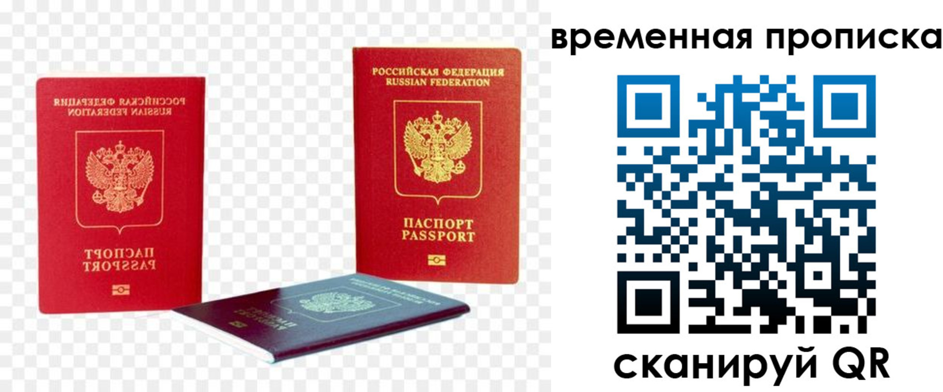 где прописаться в Ногинске